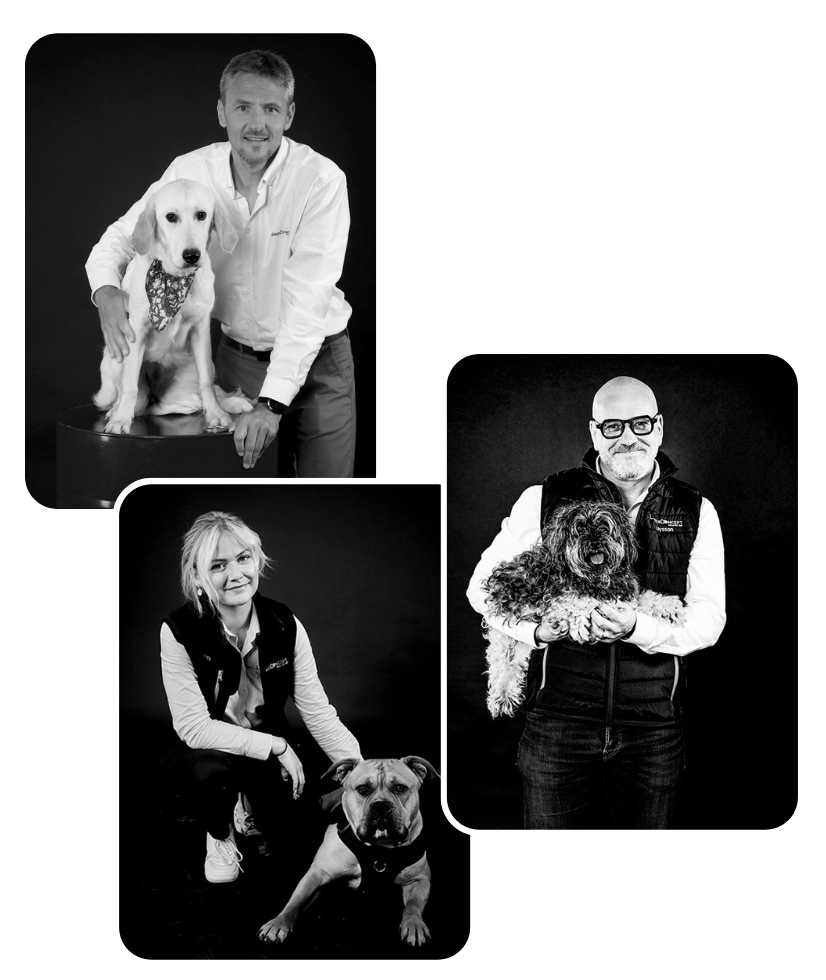 lauguiconcept photo portrait chien studio pix side